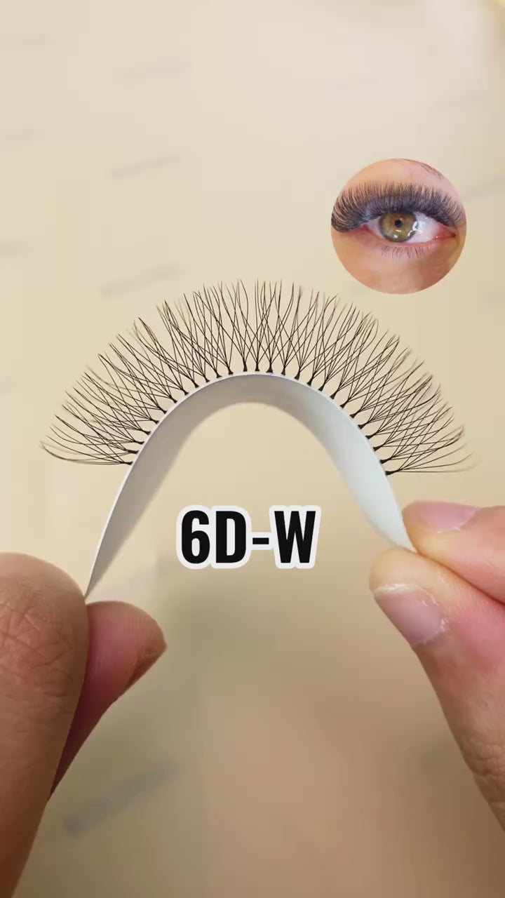 W Style 6D Premade Volume Fan Lashes (16 Rows)