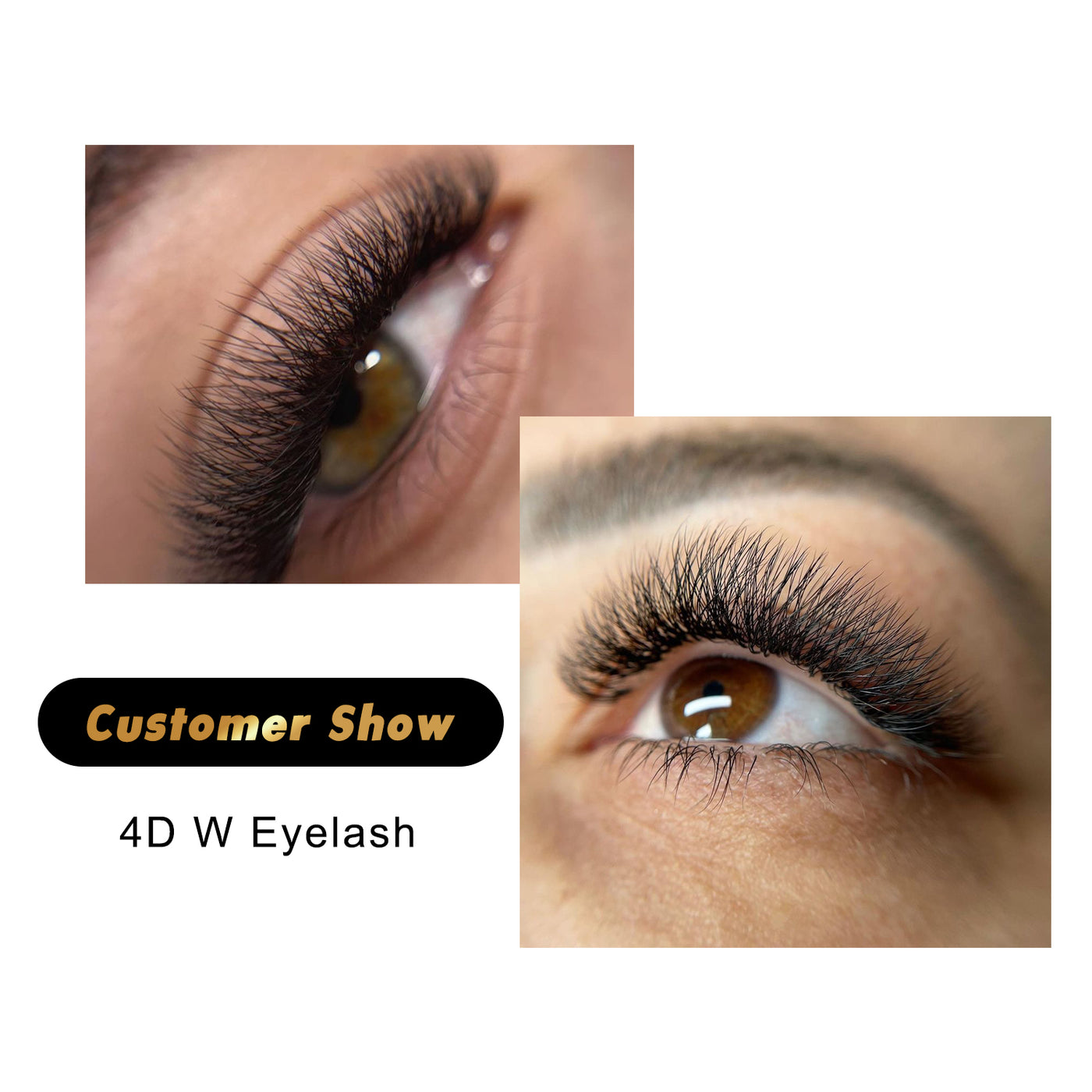 W Style 4D Premade Volume Fan Lashes (16 Rows)
